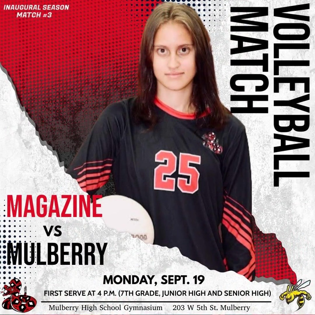 Volleyball vs. Mulberry graphic