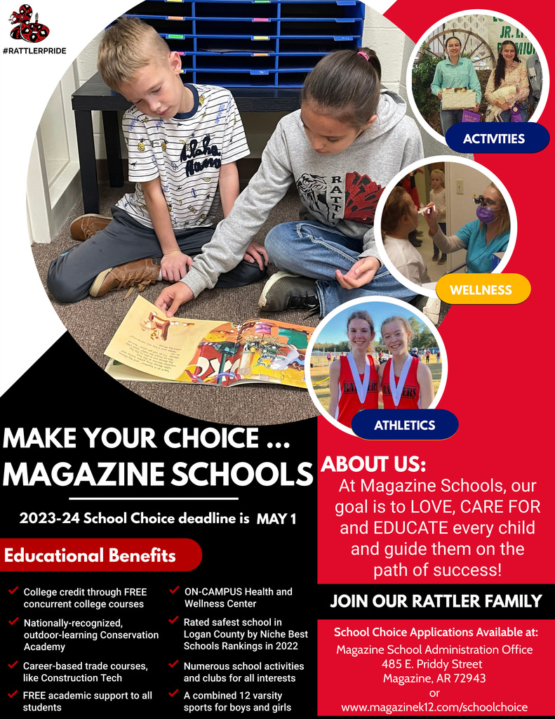 School Choice Graphic
