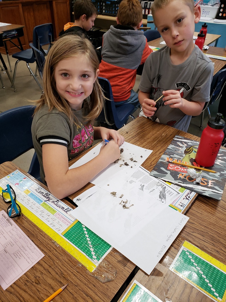 Mrs. Kellogg's 3rd Grade class has been learning about and exploring food chains. We dissected owl pellets and identified bones from many different animals. We found evidence to confirm the food chain. Animals eat plants for food, then animals eat other animals for food. All living things are connected!